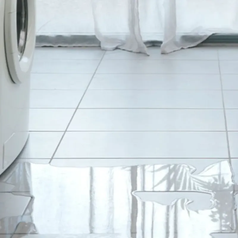 Appliance Leak Cleanup in Fobes Hill, WA